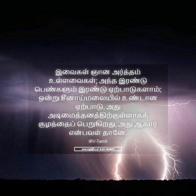 Picture 05 - கலாத்தியர் 4:24 TAMIRV - இவைகள் ஞான - Bible Verse Picture