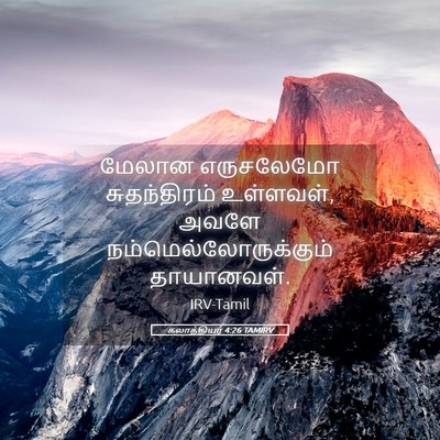 Picture 05 - கலாத்தியர் 4:26 TAMIRV - மேலான எருசலேமோ - Bible Verse Picture