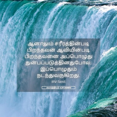 Picture 05 - கலாத்தியர் 4:29 TAMIRV - ஆனாலும் - Bible Verse Picture