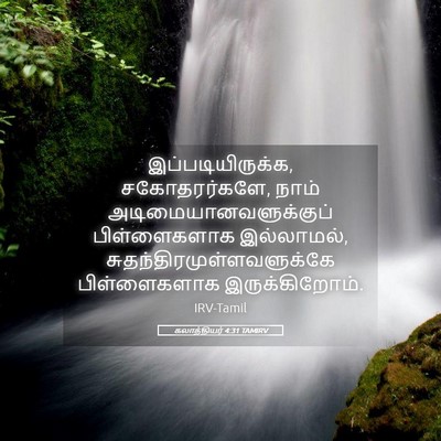 Picture 05 - கலாத்தியர் 4:31 TAMIRV - இப்படியிருக்க, - Bible Verse Picture