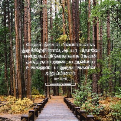Picture 05 - கலாத்தியர் 4:6 TAMIRV - மேலும் நீங்கள் - Bible Verse Picture