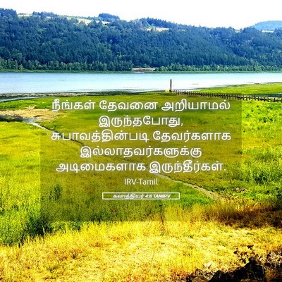 Picture 05 - கலாத்தியர் 4:8 TAMIRV - நீங்கள் தேவனை - Bible Verse Picture