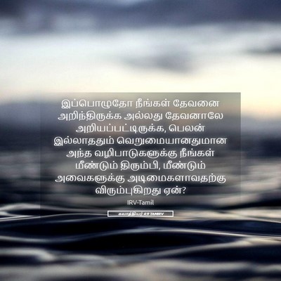 Picture 05 - கலாத்தியர் 4:9 TAMIRV - இப்பொழுதோ நீங்கள் - Bible Verse Picture