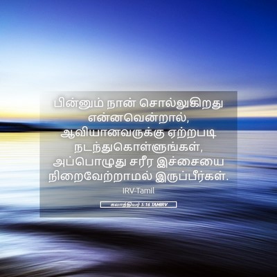Picture 05 - கலாத்தியர் 5:16 TAMIRV - பின்னும் நான் - Bible Verse Picture