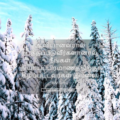Picture 05 - கலாத்தியர் 5:18 TAMIRV - ஆவியானவரால் - Bible Verse Picture