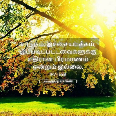 Picture 05 - கலாத்தியர் 5:23 TAMIRV - சாந்தம், - Bible Verse Picture