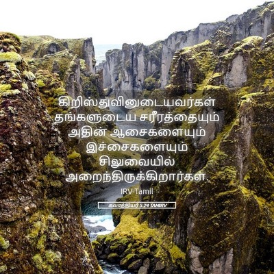 Picture 05 - கலாத்தியர் 5:24 TAMIRV -  - Bible Verse Picture