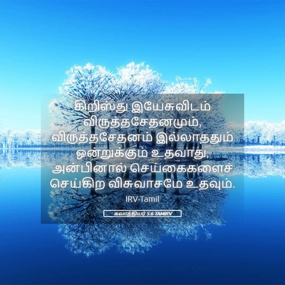 Picture 05 - கலாத்தியர் 5:6 TAMIRV - கிறிஸ்து - Bible Verse Picture