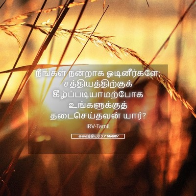 Picture 05 - கலாத்தியர் 5:7 TAMIRV - நீங்கள் நன்றாக - Bible Verse Picture