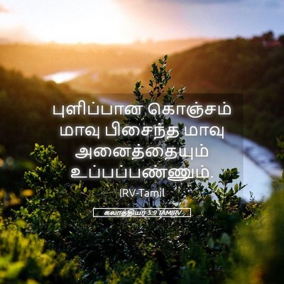 Picture 05 - கலாத்தியர் 5:9 TAMIRV - புளிப்பான கொஞ்சம் - Bible Verse Picture