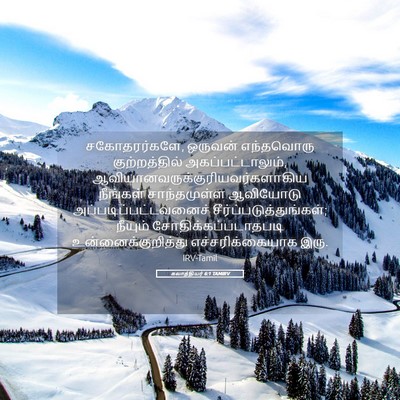 Picture 05 - கலாத்தியர் 6:1 TAMIRV - சகோதரர்களே, - Bible Verse Picture