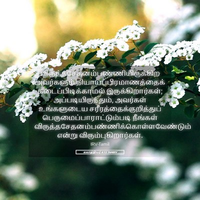 Picture 05 - கலாத்தியர் 6:13 TAMIRV -  - Bible Verse Picture