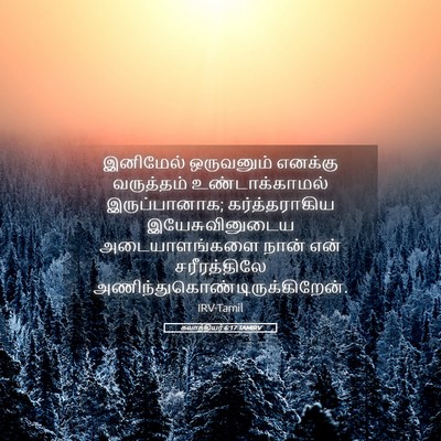 Picture 05 - கலாத்தியர் 6:17 TAMIRV - இனிமேல் ஒருவனும் - Bible Verse Picture