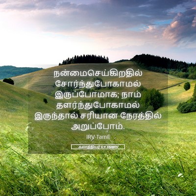 Picture 05 - கலாத்தியர் 6:9 TAMIRV - நன்மைசெய்கிறதில் - Bible Verse Picture