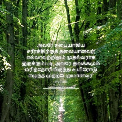 Picture 05 - கொலோசெயர் 1:18 TAMIRV - அவரே சபையாகிய - Bible Verse Picture