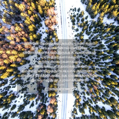 Picture 05 - கொலோசெயர் 1:21 TAMIRV - முன்னே தேவனுக்கு - Bible Verse Picture