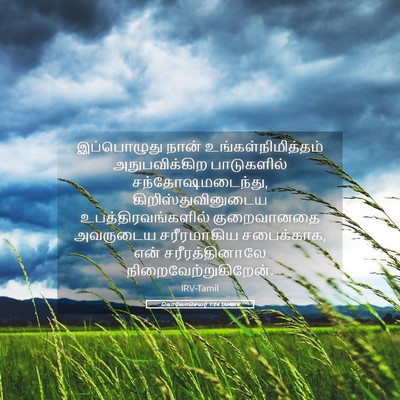 Picture 05 - கொலோசெயர் 1:24 TAMIRV - இப்பொழுது நான் - Bible Verse Picture