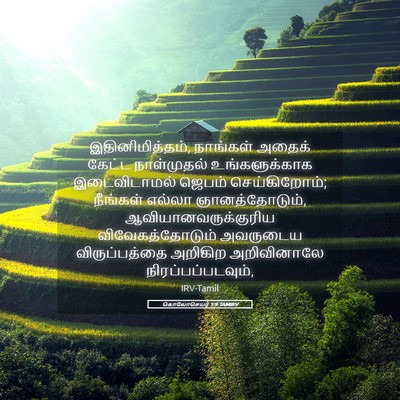 Picture 05 - கொலோசெயர் 1:9 TAMIRV - இதினிமித்தம், - Bible Verse Picture