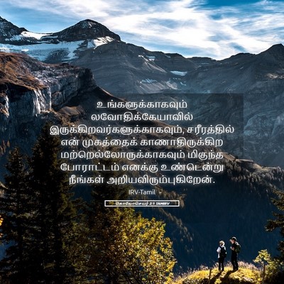 Picture 05 - கொலோசெயர் 2:1 TAMIRV - உங்களுக்காகவும் - Bible Verse Picture