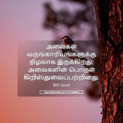 Picture 05 - கொலோசெயர் 2:17 TAMIRV - அவைகள் - Bible Verse Picture