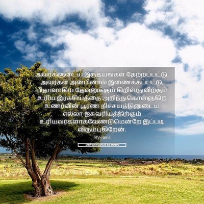 Picture 05 - கொலோசெயர் 2:2 TAMIRV - அவர்களுடைய - Bible Verse Picture