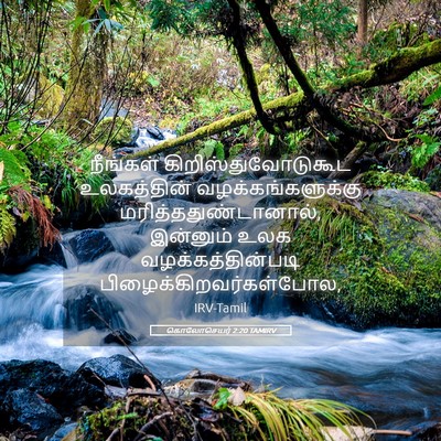 Picture 05 - கொலோசெயர் 2:20 TAMIRV - நீங்கள் - Bible Verse Picture