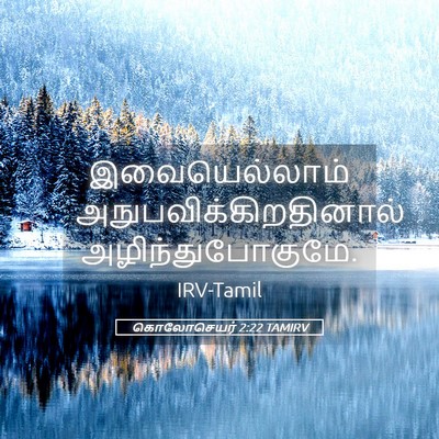 Picture 05 - கொலோசெயர் 2:22 TAMIRV - இவையெல்லாம் - Bible Verse Picture