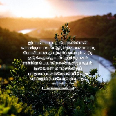 Picture 05 - கொலோசெயர் 2:23 TAMIRV - இப்படிப்பட்டப் - Bible Verse Picture