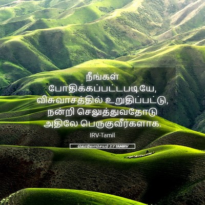 Picture 05 - கொலோசெயர் 2:7 TAMIRV - நீங்கள் - Bible Verse Picture