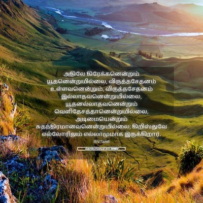 Picture 05 - கொலோசெயர் 3:11 TAMIRV - அதிலே - Bible Verse Picture