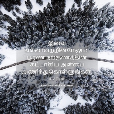 Picture 05 - கொலோசெயர் 3:14 TAMIRV - இவை - Bible Verse Picture