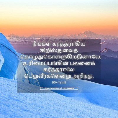 Picture 05 - கொலோசெயர் 3:23 TAMIRV - நீங்கள் - Bible Verse Picture