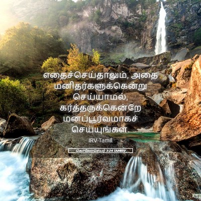Picture 05 - கொலோசெயர் 3:24 TAMIRV - எதைச்செய்தாலும், - Bible Verse Picture