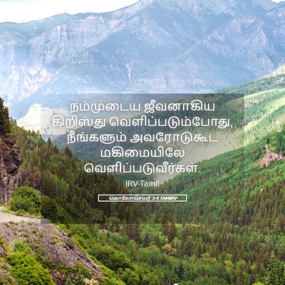 Picture 05 - கொலோசெயர் 3:4 TAMIRV - நம்முடைய ஜீவனாகிய - Bible Verse Picture