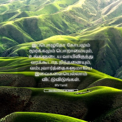 Picture 05 - கொலோசெயர் 3:8 TAMIRV - இப்பொழுதோ கோபமும் - Bible Verse Picture