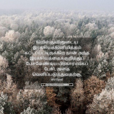 Picture 05 - கொலோசெயர் 4:3 TAMIRV - கிறிஸ்துவினுடைய - Bible Verse Picture