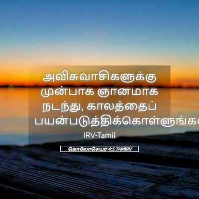 Picture 05 - கொலோசெயர் 4:5 TAMIRV - அவிசுவாசிகளுக்கு - Bible Verse Picture
