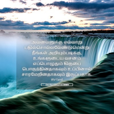 Picture 05 - கொலோசெயர் 4:6 TAMIRV - அவனவனுக்கு - Bible Verse Picture