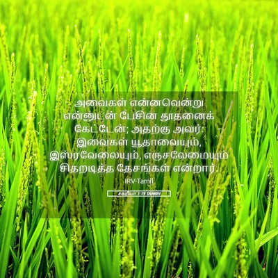 Picture 05 - சகரியா 1:19 TAMIRV - அவைகள் என்னவென்று - Bible Verse Picture