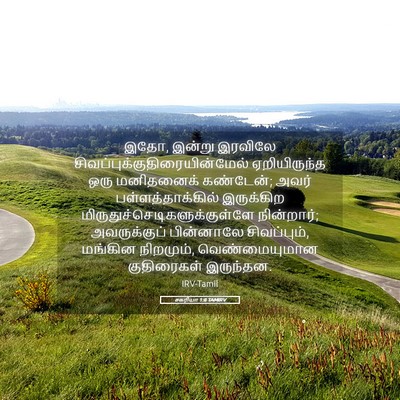 Picture 05 - சகரியா 1:8 TAMIRV - இதோ, இன்று இரவிலே - Bible Verse Picture
