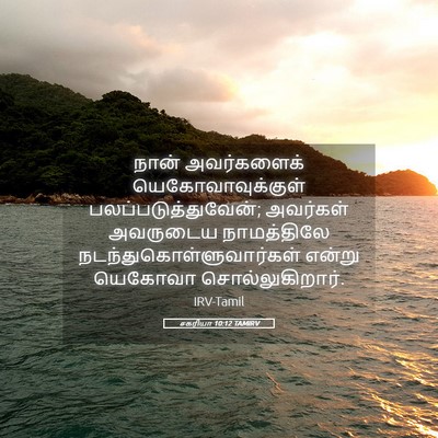 Picture 05 - சகரியா 10:12 TAMIRV - நான் அவர்களைக் - Bible Verse Picture