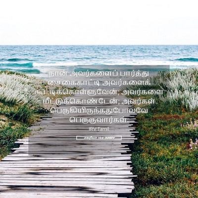 Picture 05 - சகரியா 10:8 TAMIRV - நான் அவர்களைப் - Bible Verse Picture
