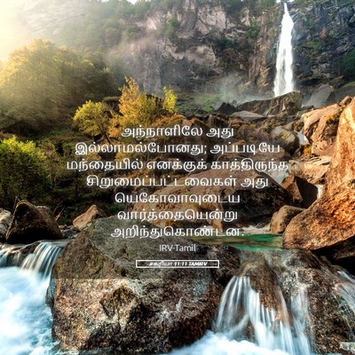 Picture 05 - சகரியா 11:11 TAMIRV - அந்நாளிலே அது - Bible Verse Picture
