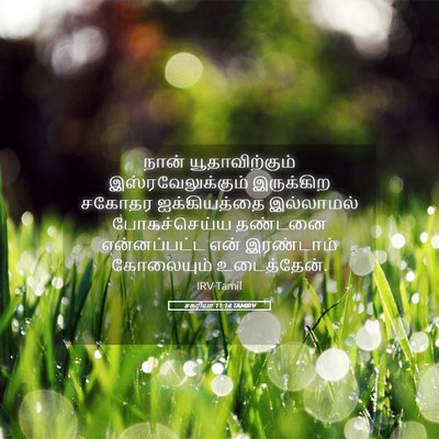 Picture 05 - சகரியா 11:14 TAMIRV - நான் யூதாவிற்கும் - Bible Verse Picture