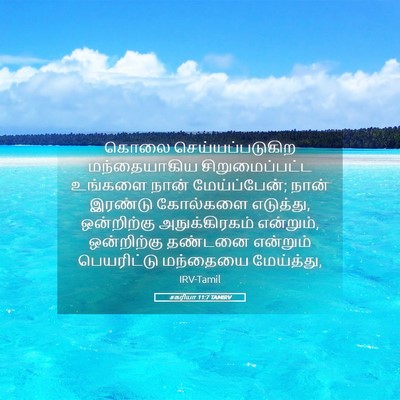 Picture 05 - சகரியா 11:7 TAMIRV - கொலை - Bible Verse Picture