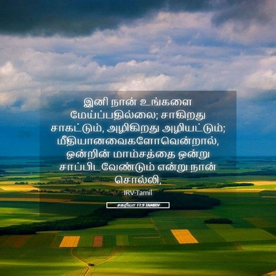 Picture 05 - சகரியா 11:9 TAMIRV - இனி நான் உங்களை - Bible Verse Picture
