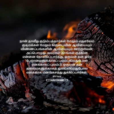 Picture 05 - சகரியா 12:10 TAMIRV - நான் தாவீது - Bible Verse Picture
