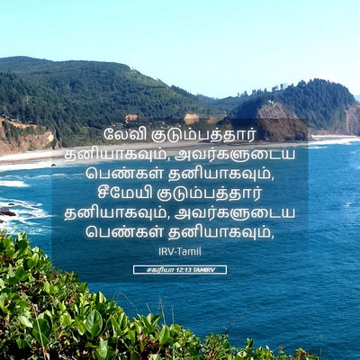 Picture 05 - சகரியா 12:13 TAMIRV - லேவி - Bible Verse Picture