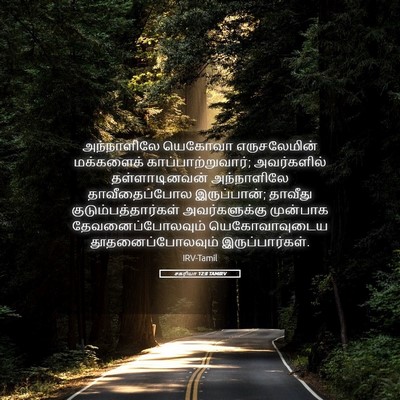 Picture 05 - சகரியா 12:8 TAMIRV - அந்நாளிலே யெகோவா - Bible Verse Picture