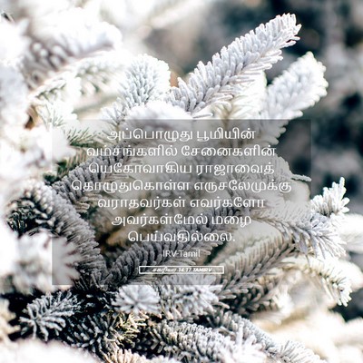 Picture 05 - சகரியா 14:17 TAMIRV - அப்பொழுது - Bible Verse Picture